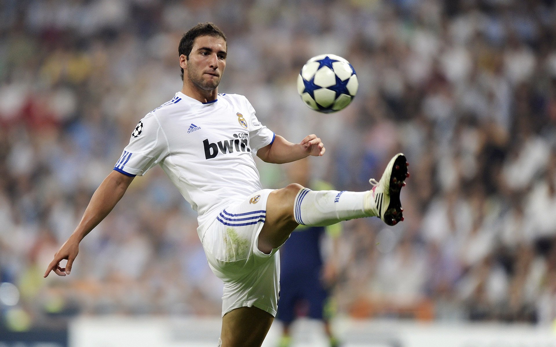 体育新闻中心开展体育内容创作职业培训项目，体育新闻中心开展体育内容创作职业培训项目有哪些